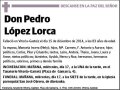 LOPEZ LORCA,PEDRO