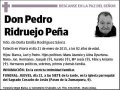 RIDRUEJO PEÑA,PEDRO