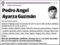 AYARZA GUZMAN,PEDRO ANGEL