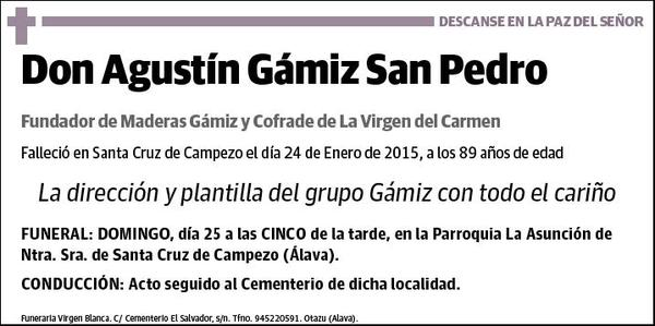 GAMIZ SAN PEDRO,AGUSTIN