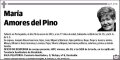 AMORES DEL PINO,MARIA
