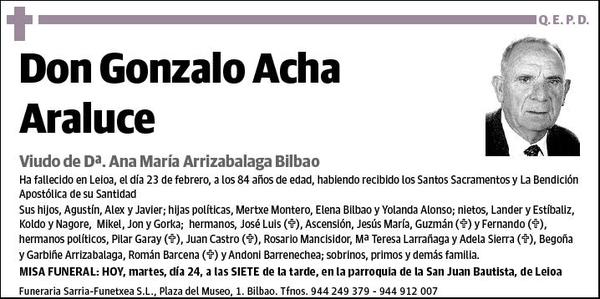 ACHA ARALUCE,GONZALO