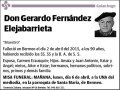 FERNANDEZ ELEJABARRIETA,GERARDO