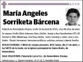 SORRIKETA BARCENA,MARIA ANGELES
