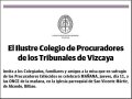DE PROCURADORES DE BIZKAIA,ILUSTRE COLEGIO