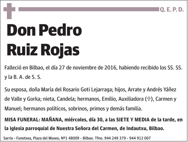 Pedro Ruiz Rojas