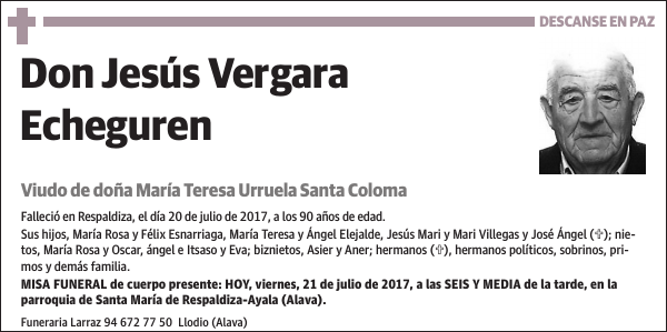 Jesús Vergara Echeguren