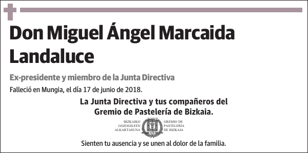 Miguel Ángel Marcaida Landaluce