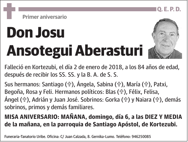 Josu Ansotegui Aberasturi
