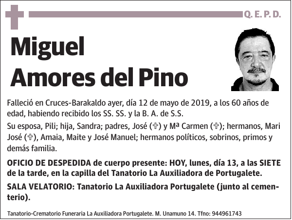 Miguel Amores del Pino
