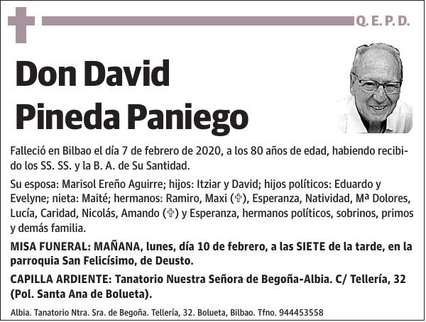 David Pineda Paniego