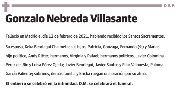 Gonzalo Nebreda Villasante