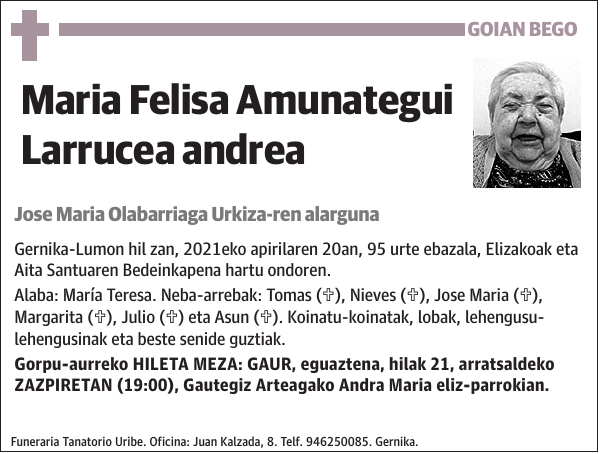Maria Felisa Amunategui Larrucea