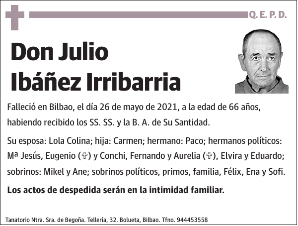 Julio Ibáñez Irribarria