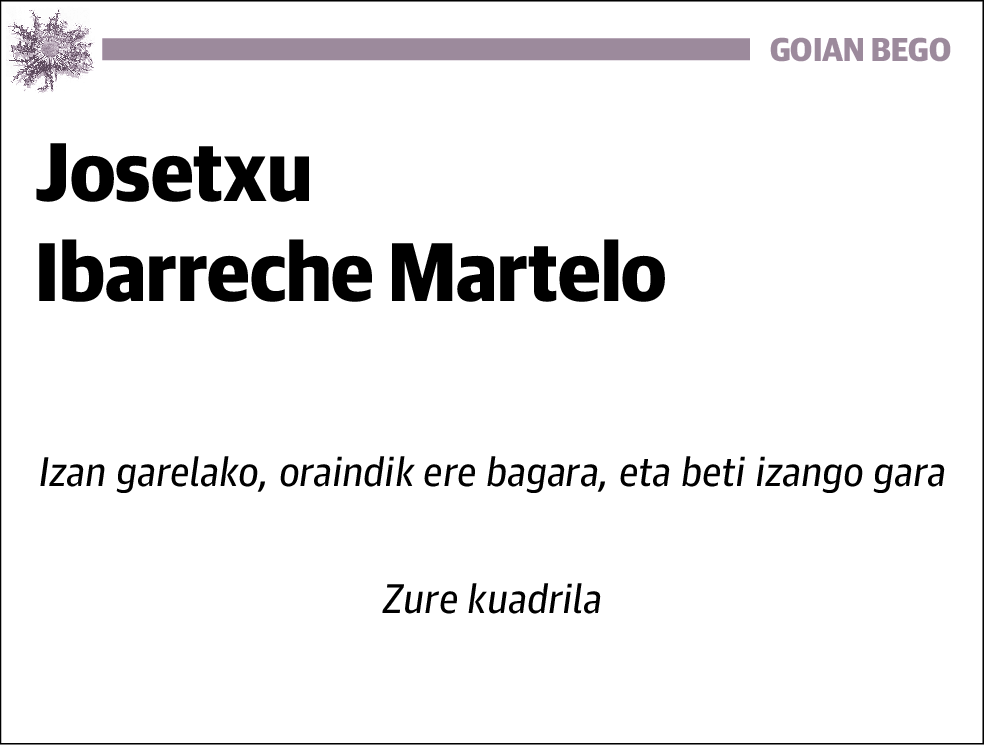 Josetxu Ibarreche Martelo