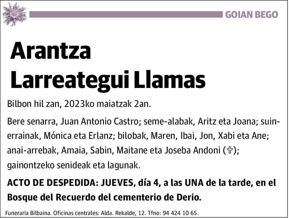 Arantza Larreategui Llamas