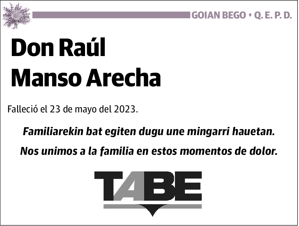 Raúl Manso Arecha