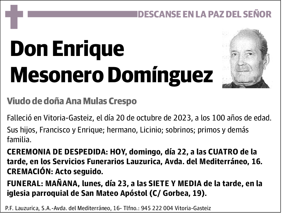 Enrique Mesonero Domínguez