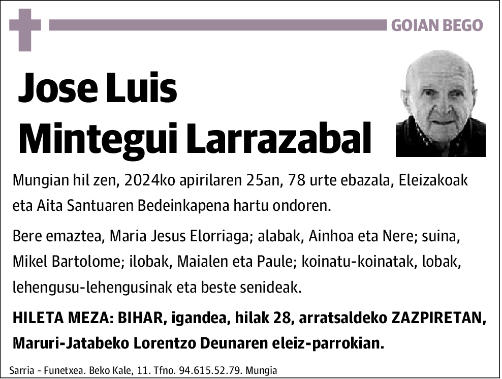 Jose Luis Mintegui Larrazabal
