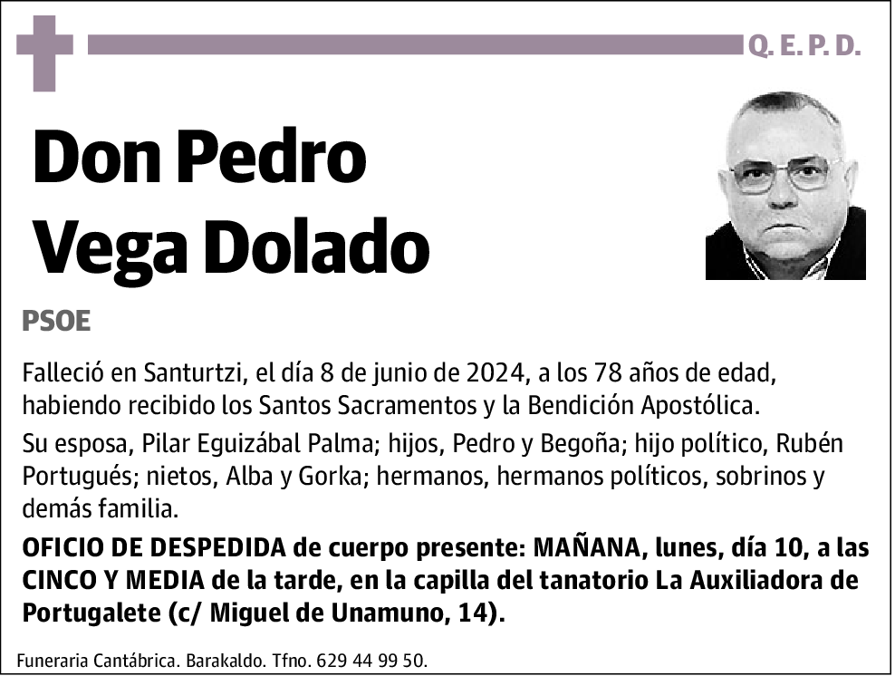 Pedro Vega Dolado
