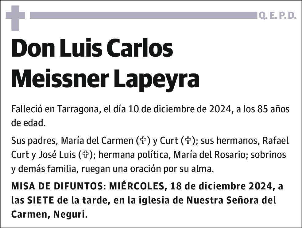 MEISSNER LAPEYRA,LUIS CARLOS