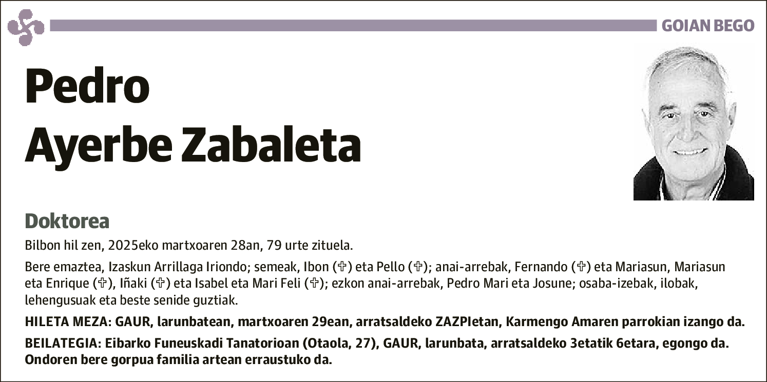 Pedro Luis Ayerbe Zabaleta