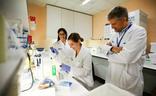 Investigadores trabajando en un laboratorio./efe