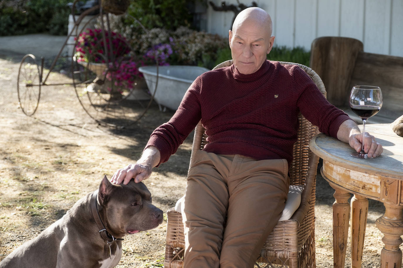 Star Trek Picard Disfrutable Sin Manual El Correo