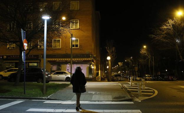 Vitoria mejorará con tecnología led 1.500 farolas en siete barrios 2 Una mujer pasea por Ariznabarra./E.C.
