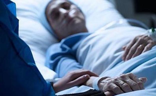 Nueva ley de eutanasia: quién podrá pedirla y cómo se solicitará | El Correo
