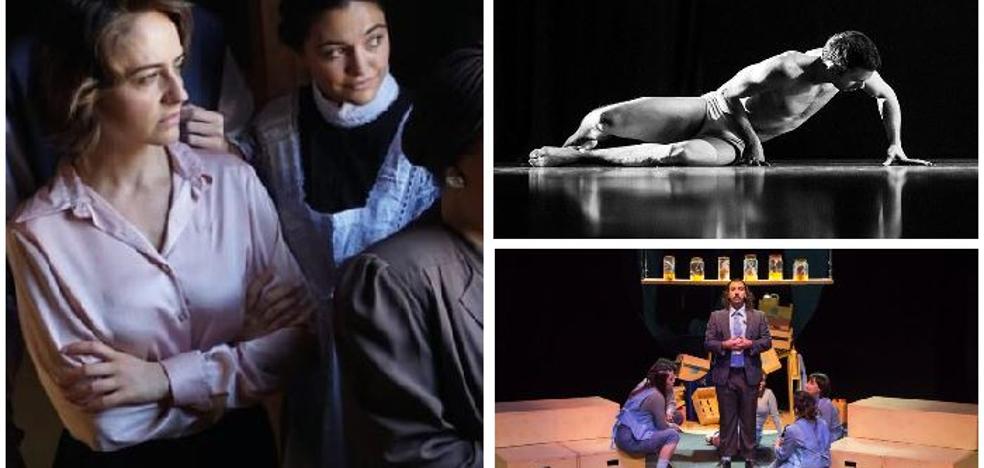 Los mejores planes culturales para este fin de semana - Vimarsana News