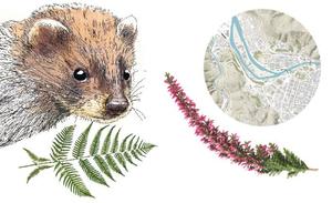 Basurto-Kobetamendi, el broche de oro a las rutas del anillo verde de Bilbao