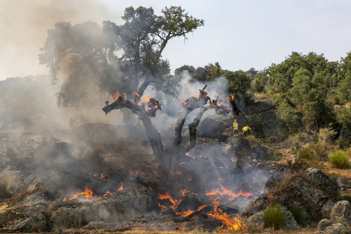 Fotos Los Incendios Que Devoran Miles De Hectáreas En Imágenes El