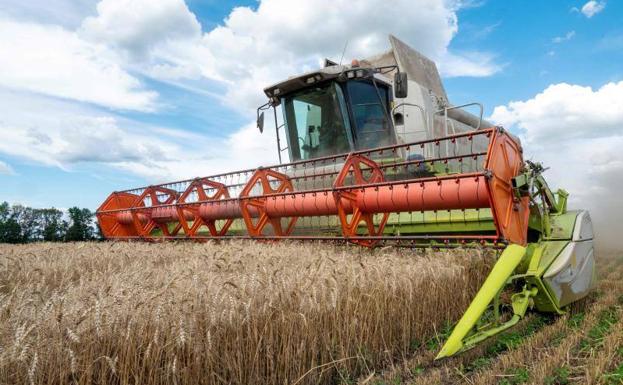 Una cosechadora recoge trigo en un campo de Járkov en julio de este año.  El acuerdo para la exportación ha permitido el traslado de más de 10 millones de toneladas de cereal para paliar la escasez alimentaria.