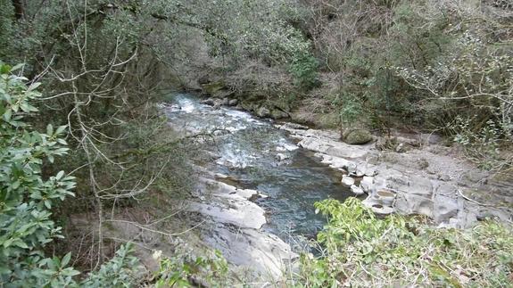 Paseo por la orilla del Barbadún hasta la ferrería de El ...